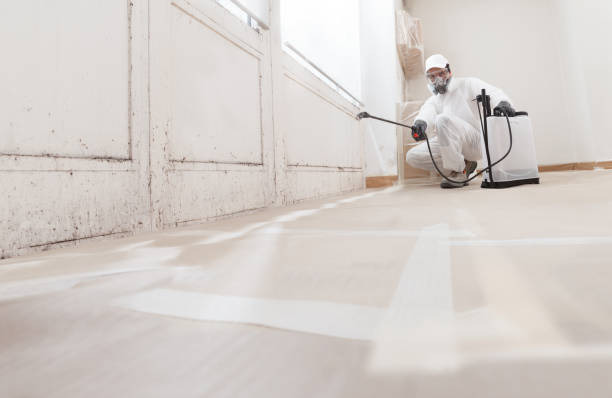 24/7 Emergency Basement Mold Remediation experts in Monrovia, MD